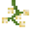 Torchberry Plant.png