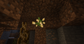 Beta Torchberry Plant.png