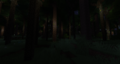 Shae Dense Forest.png