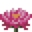 Huge Water Lily.png