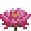 Huge Water Lily.png