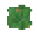 Moss Patch.png
