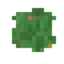 Moss Patch.png