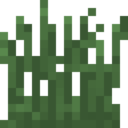Forest Grass.png
