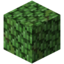 Hedge.png