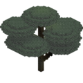 Mega Canopy Tree.png