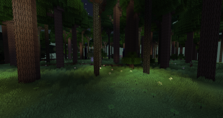 Dense Twilight Forest Biome.png