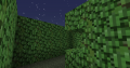 Twilight Forest Hedge Block.png