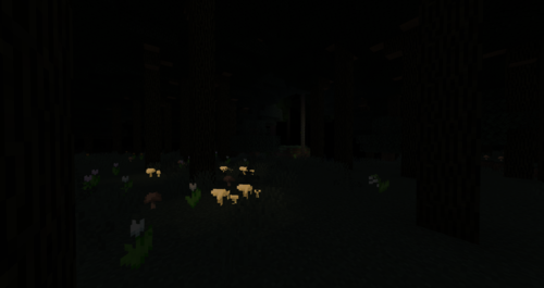 Dark Forest Biome.png