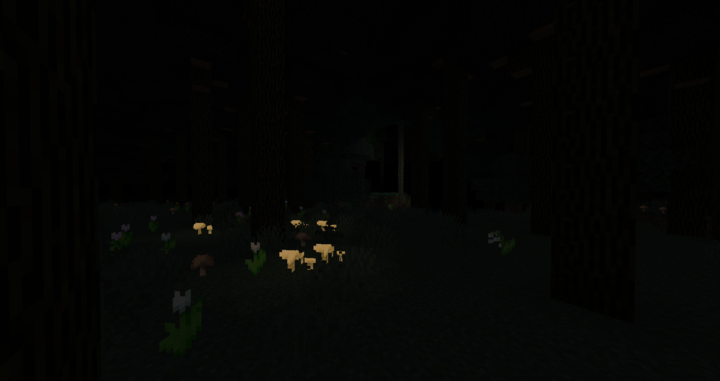 Dark Forest Biome.png