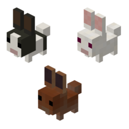 Dwarf Rabbits.png