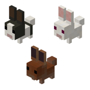 Dwarf Rabbits.png