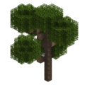 Large Twilight Oak Tree.png